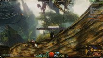 Guild Wars 2 Heart of Thorns Beta - Unreachable POI