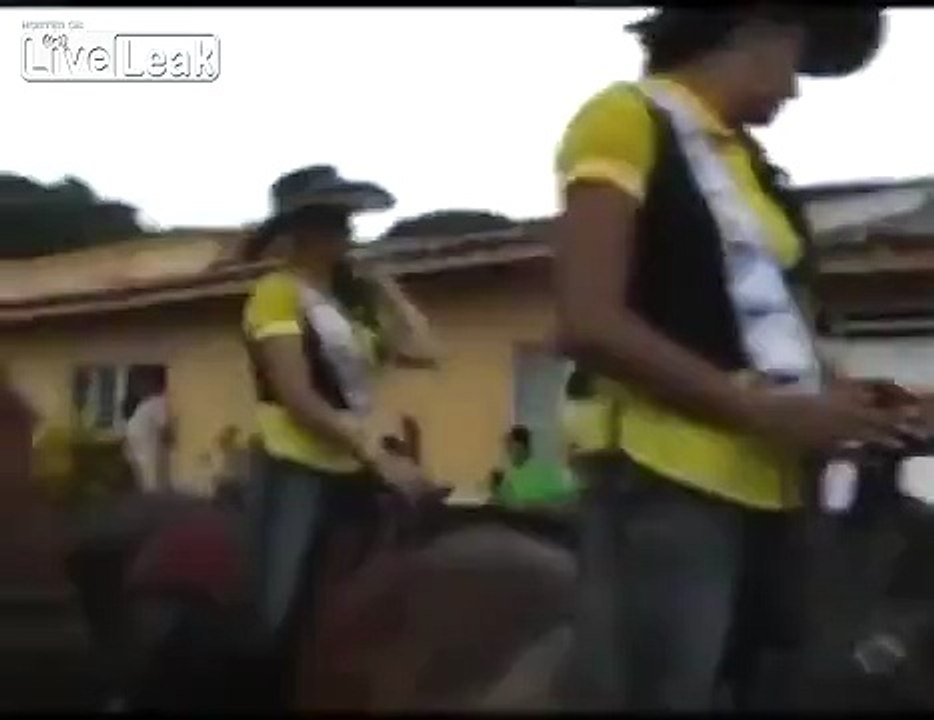 Horse Humping