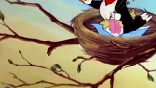 Tom and Jerry 2015 |  New Part Hatch Up Your Troubles | Kid Cartoon 2015