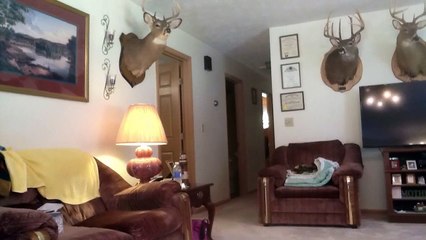 Most beautiful woman