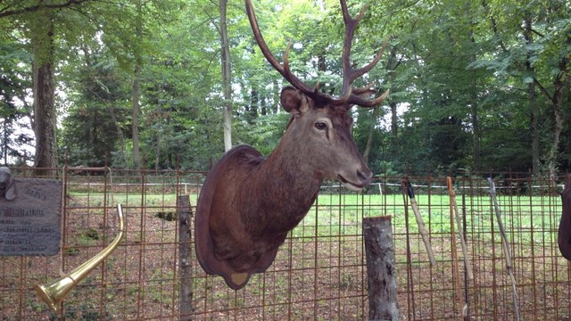 Record de visiteurs à la 4ème fête de la chasse d'Amenon