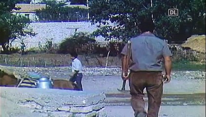 DISKO LAJME 6 SHTATOR