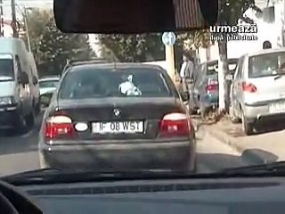 SASI Politia de Frontiera Operatiunea Jaguar