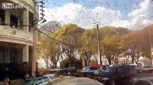 billions of locusts swarmed madagascar