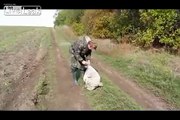 Dog tied and left in bag rescued by rabbit hunters