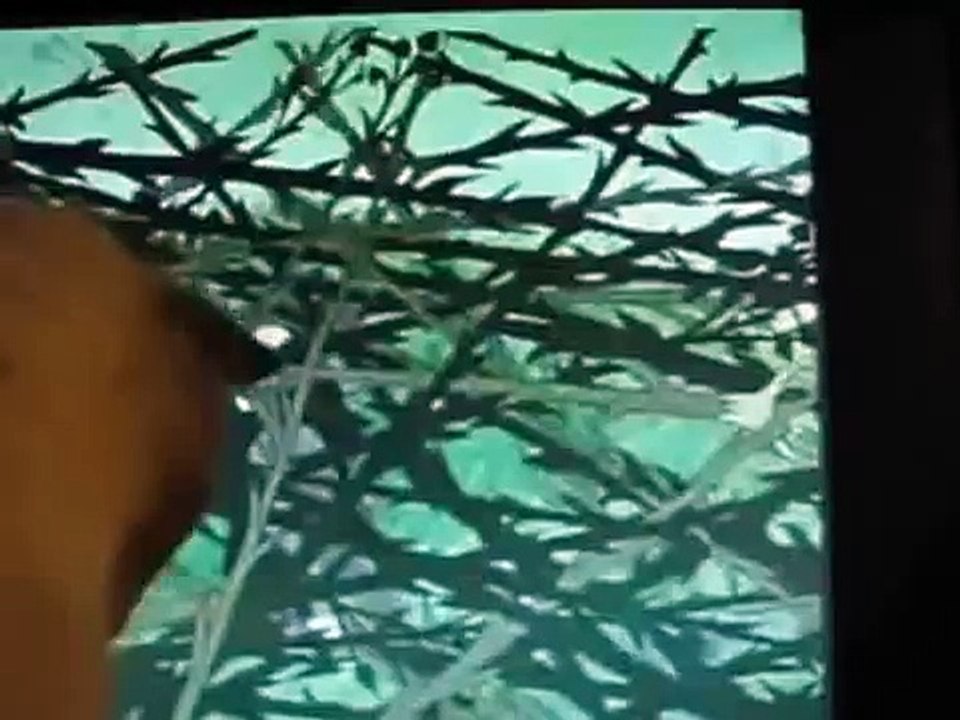 Krtek Cat watching cartoon