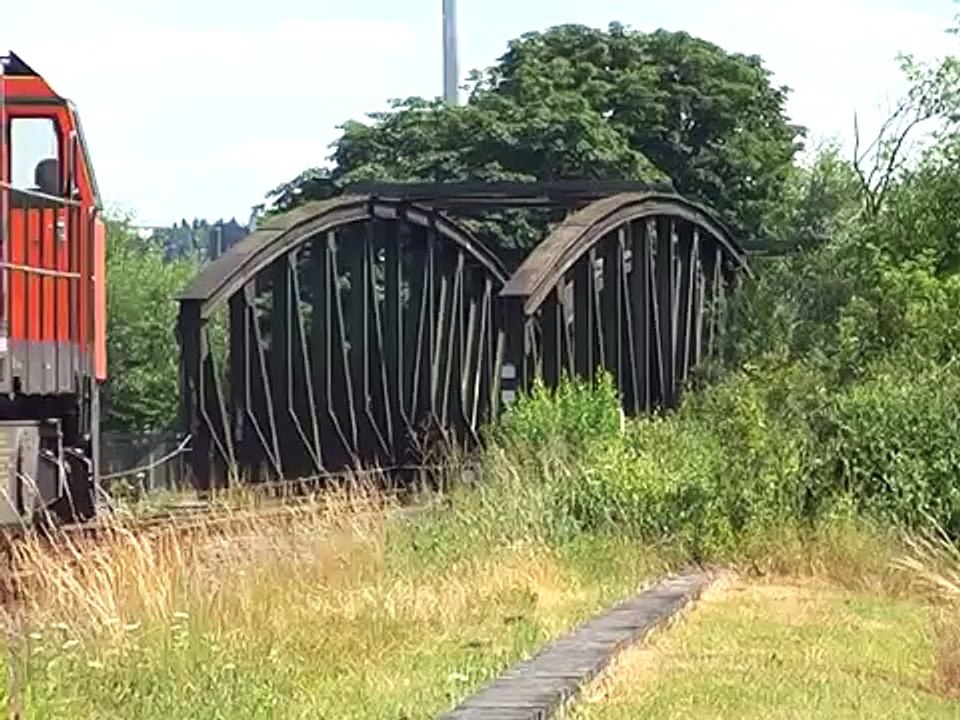 Classic diesels - 221 135 vor Aushubzügen im Westerwald