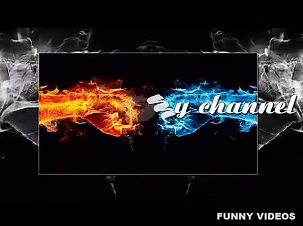 Funny Videos - Funny Animals | Chickens and Duck spar - Part 2