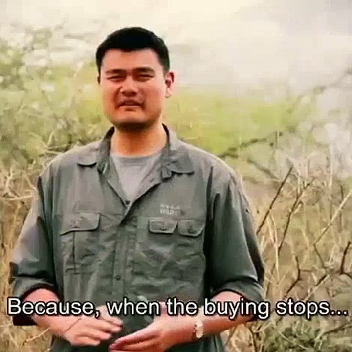 Funny Vines for ANIMALS - September 4, 2015 Friday Night