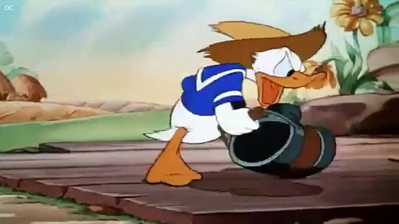 Donald Duck "Donald's Garden"