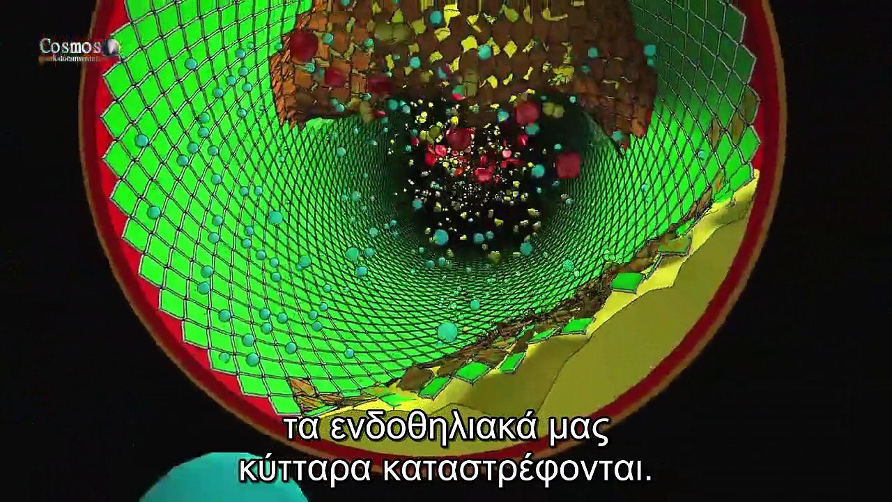 fds2