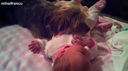 Best Of Funny Cats And Dogs Protecting Babies Compilation 2014 [NEW]