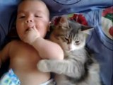 Cute cat loves baby - from  funny and cute cats and babies collection