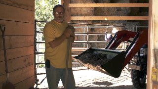 Cleaning Your Barn Stalls For Your Horses Health