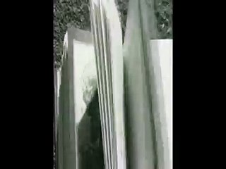 Short film : Le merle blanc - Régis Kérébel (Белый дрозд - 2013)