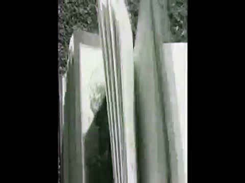 Short film : Le merle blanc - Régis Kérébel (Белый дрозд - 2013)