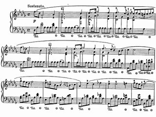 Chopin Prelude Op.28 No.15 (Horowitz)