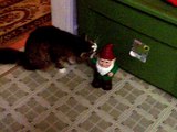Our Cat Toby meets a talking Garden GNOME-FUNNY