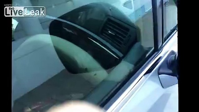 Car Infested With Roaches