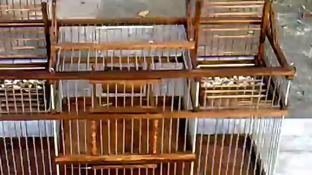 OTOMATİK KUŞ YAKALAMA KAFESİ ANTİK ESKİTME KORAY KILINÇ