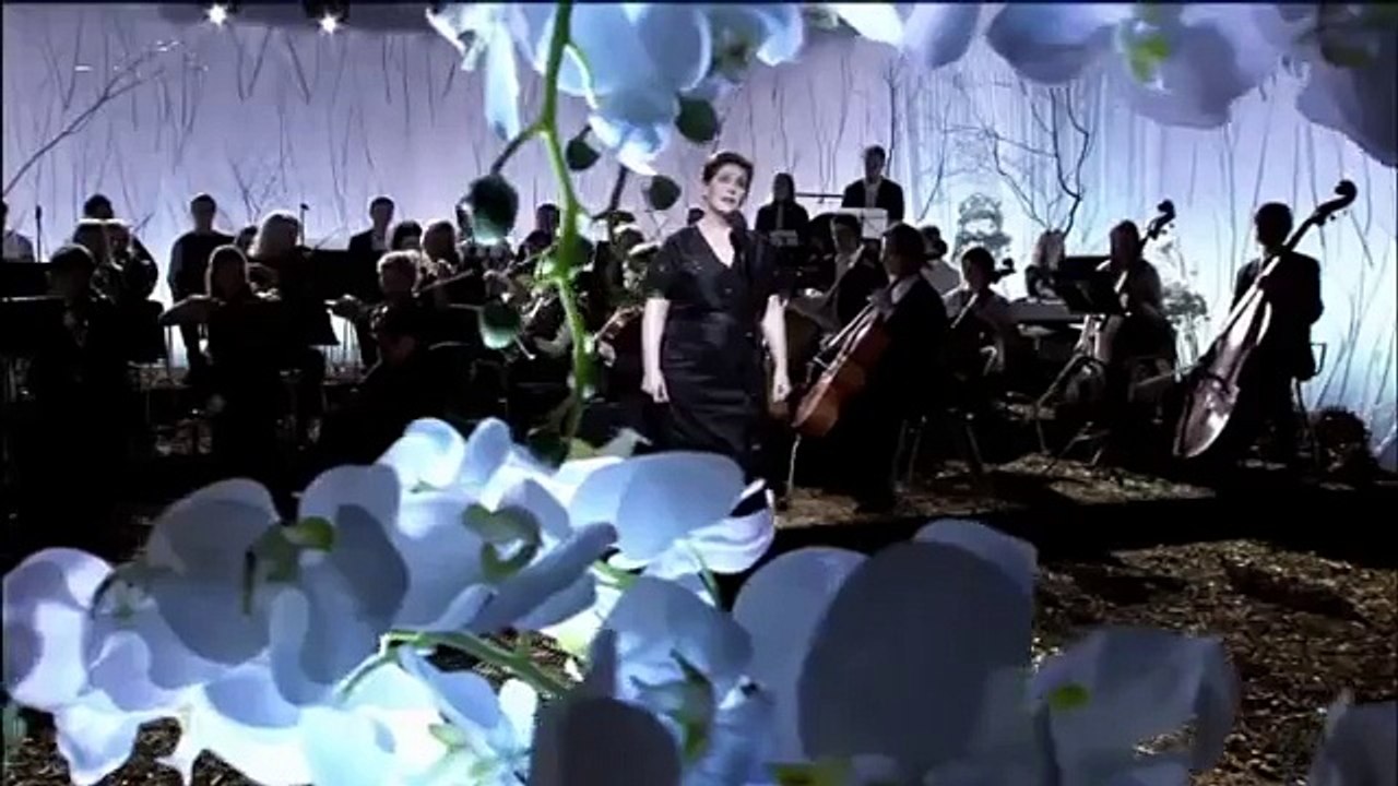 Kaire Vilgats - "Mu päevi täitis unelm hea"