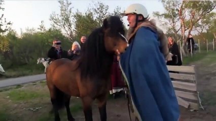 sexxyyy video 2015 nik English   best funny animals compilation   funny videos 2015 HD Part6