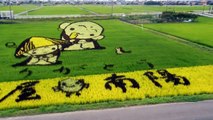 Rice Field Art in Japan