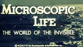 Microscopic Life: The World of the Invisible (1958 documentary)