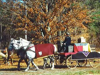 Medieval Horses - Siuil A Run