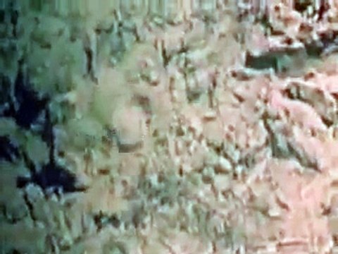 Indian Air Force's Roll In Kargil War of 1999 with Pakistan