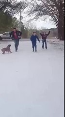 Dog funny- dog takes kids out on ice