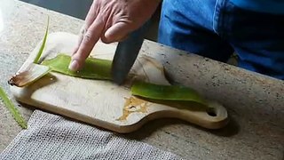 How to prepare Aloe Vera for juicing/eating or as topical ointment