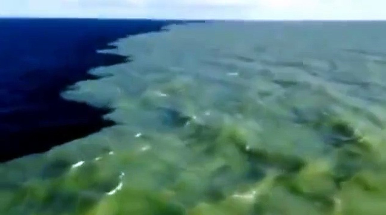 Miracle of Nature in Gulf of Alaska where Two Oceans Meet without mixing with each otherMagic Scene