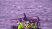 [UPDATE] South Korea Ferry Sinks | South Korean Ship Sunk | 476 Passengers 246 Missing 56