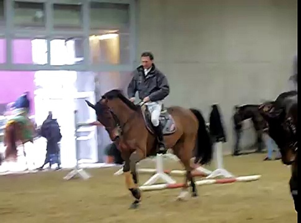 InterHorse Graz - Abreitplatz Springprüfung - Rollkur? - 3