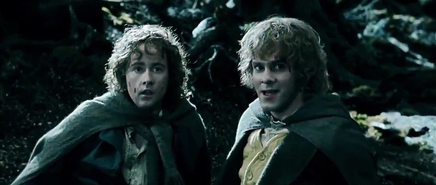 Lord of the Rings : The Two Towers Treebeard