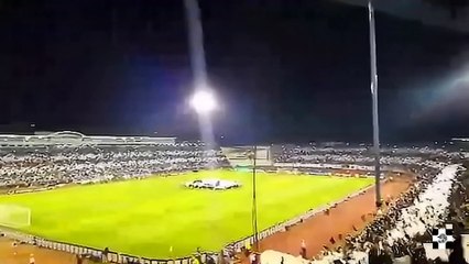 Grobari | Partizan -BATE Borisov 26.08.2015