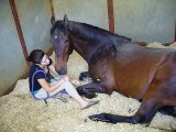Girl and Horse - Great Bond - YouTube
