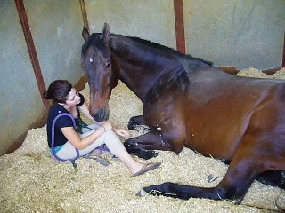 Girl and Horse - Great Bond - YouTube