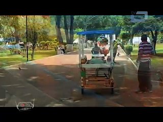 Ecozonico / Elaboración de Raspados