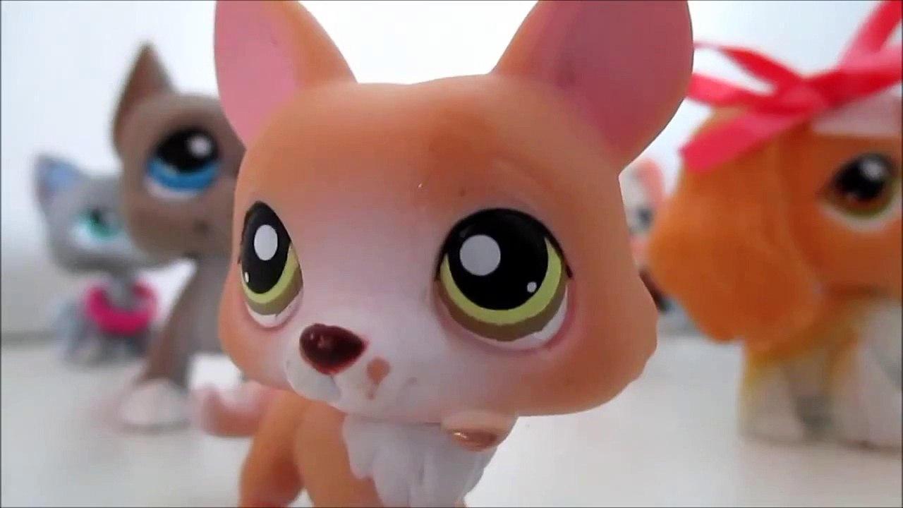 ~Paradise~ An LPS Music Video
