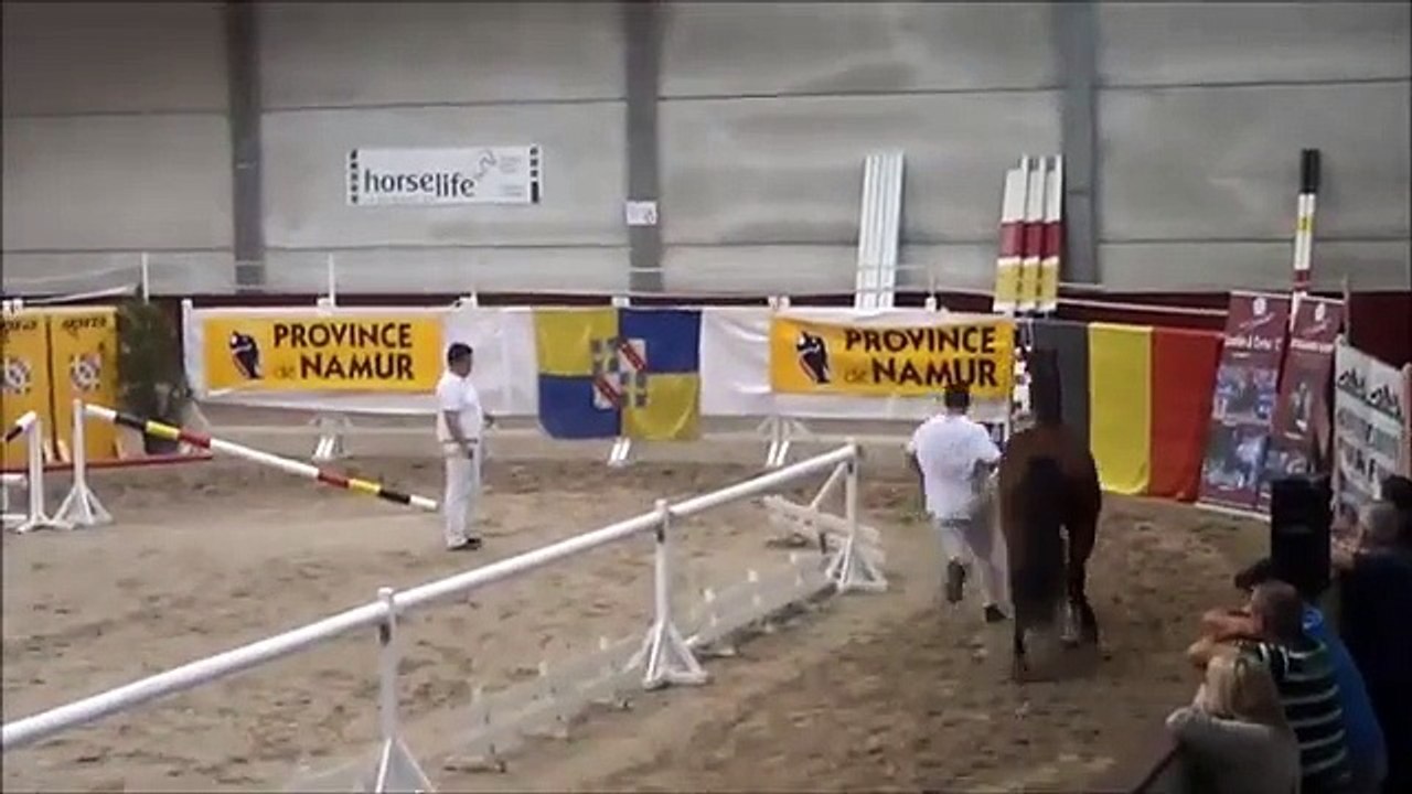 Narco-Z-@-Belgian-championship-loose-jumping-