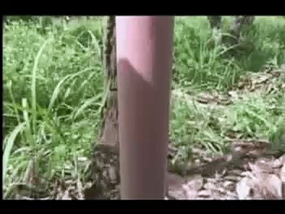 PHIL. COCONUT AUTHORITY PHEROMONE TRAP