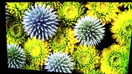 Gamme de TV LG 4K OLED 2015