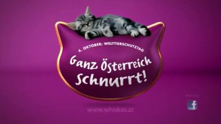 Whiskas® Österreich schnurrt Gewinner Woche 3