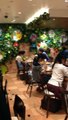 Inside the Limited Time Pokemon Music Cafe