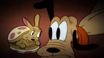 Mickey Mouse Cartoon - Pluto and The Armadillo