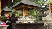 Sylvia's Spas- Spa Village Resort Tembok Bali