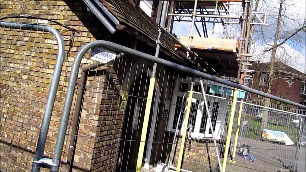 House Sparrows at London Zoo