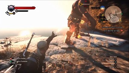 Witcher-3:-Proof-Difficulty-Affects-XP-Gains